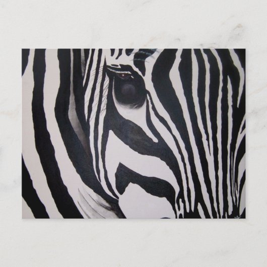 Zebra Postkarte (Vorderseite)