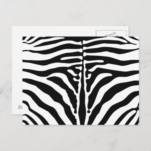 Zebra Postkarte (Vorne/Hinten)