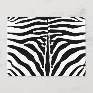 Zebra Postkarte