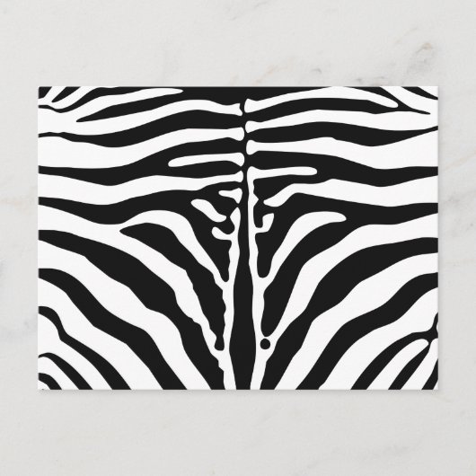 Zebra Postkarte (Vorderseite)
