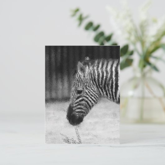 Zebra Postkarte (Stehend Vorderseite)