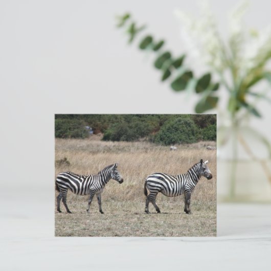 Zebra Postkarte (Stehend Vorderseite)