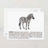 Zebra Postkarte (Vorne/Hinten)