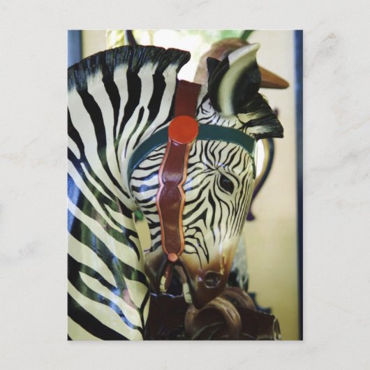Zebra Postkarte (Vorderseite)