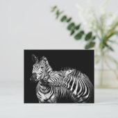 Zebra Postkarte (Stehend Vorderseite)