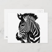 Zebra Postkarte (Vorne/Hinten)