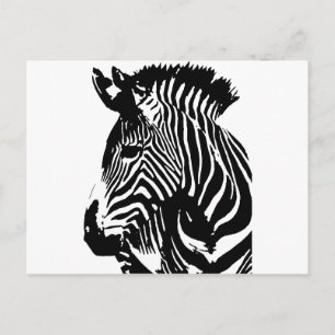 Zebra Postkarte