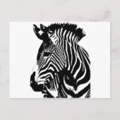 Zebra Postkarte (Vorderseite)