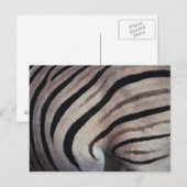 Zebra Postkarte (Vorne/Hinten)
