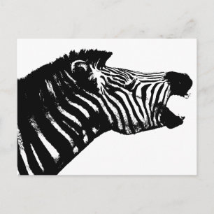 Zebra Postkarte