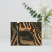 Zebra Postkarte (Stehend Vorderseite)
