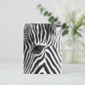 Zebra Postkarte (Stehend Vorderseite)