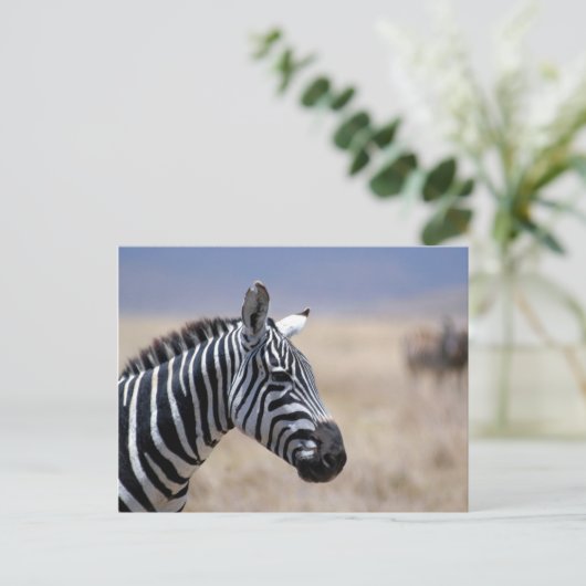 Zebra Postkarte (Stehend Vorderseite)