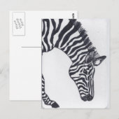 Zebra Postkarte (Vorne/Hinten)