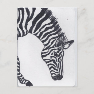 Zebra Postkarte