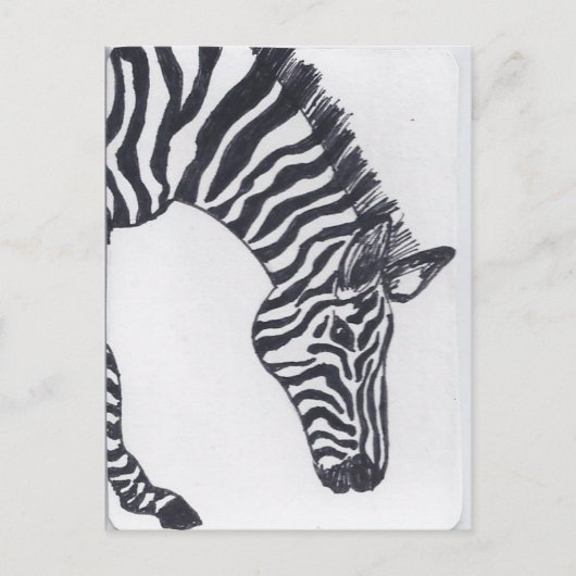 Zebra Postkarte (Vorderseite)