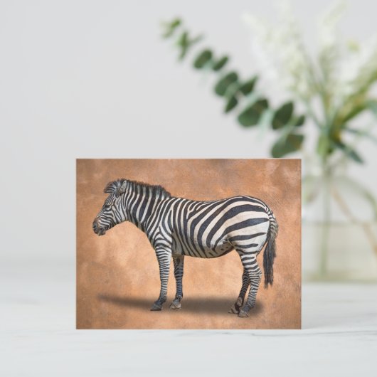 ZEBRA POSTKARTE (Stehend Vorderseite)