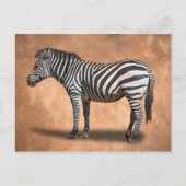 ZEBRA POSTKARTE (Vorderseite)