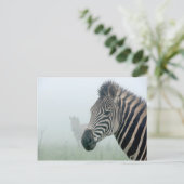 Zebra Postkarte (Stehend Vorderseite)
