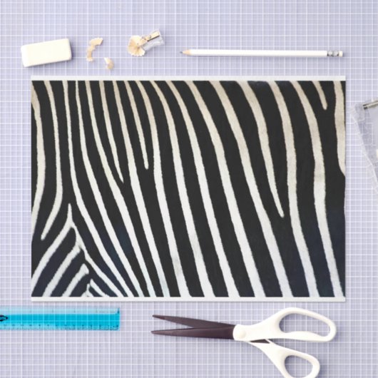 Zebra Print Black Fur Seidenpapier (Handwerk)