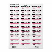 Zebra Print & Pink Retro Sonnenbrille (Vorne)