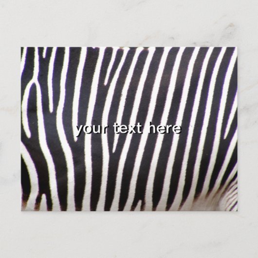 Zebra Print Postkarte (Vorderseite)