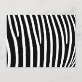 Zebra Print Postkarte (Vorderseite)