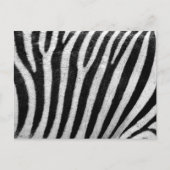 Zebra Print, Zebrastreifen, schwarz und weiß Postkarte (Vorderseite)