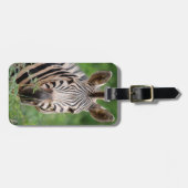 Zebra Profil Gepäckanhänger (Vorderseite horizontal)