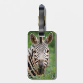 Zebra Profil Gepäckanhänger (Rückseite vertikal)