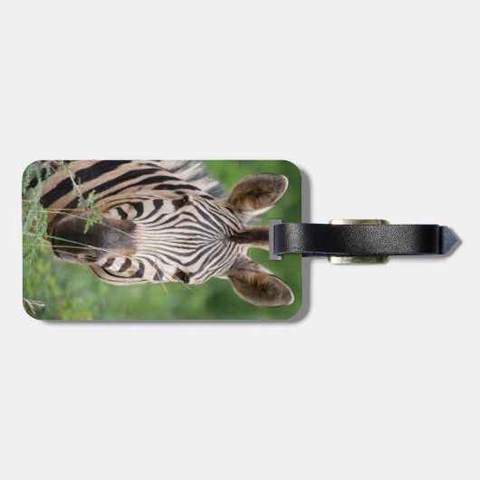 Zebra Profil Gepäckanhänger (Rückseite horizontal)