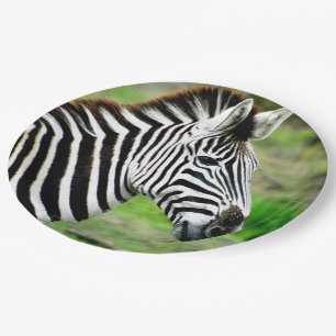 Zebra-Profil Pappteller