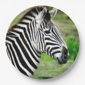 Zebra-Profil Pappteller (Vorderseite)