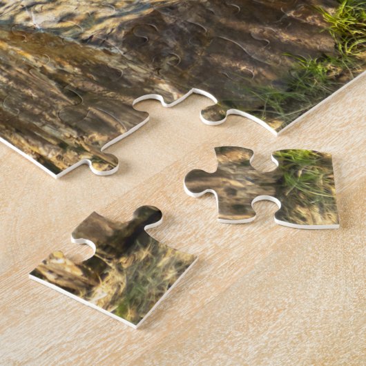 Zebra Puzzle (Seite)