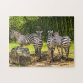 Zebra Puzzle (Horizontal)