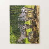 Zebra Puzzle (Vertikal)