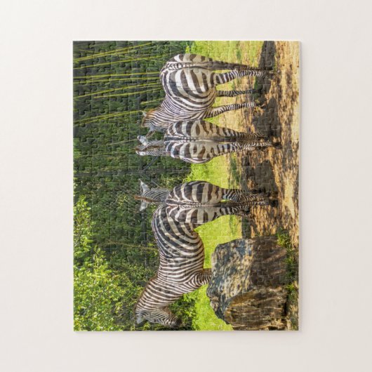 Zebra Puzzle (Vertikal)