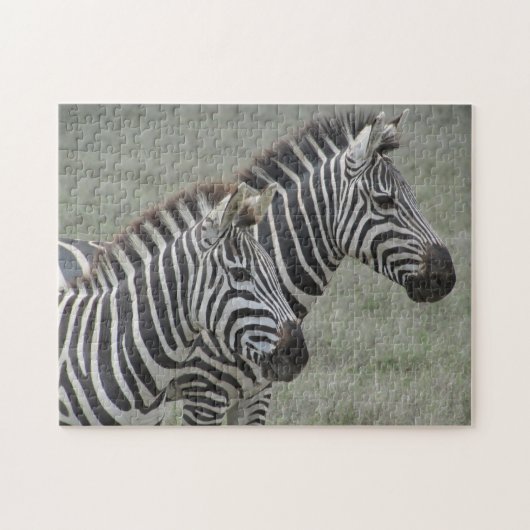Zebra Puzzle (Horizontal)