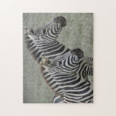 Zebra Puzzle (Vertikal)
