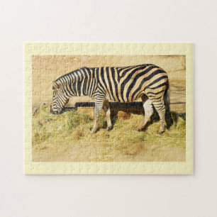 Zebra Puzzle