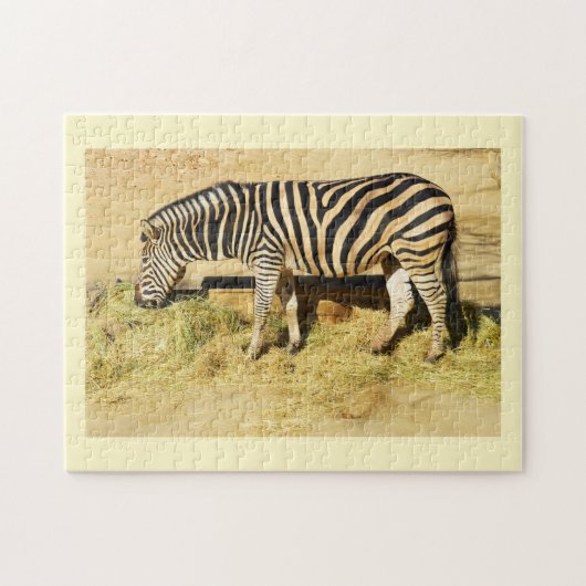 Zebra Puzzle (Horizontal)