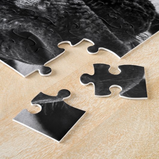 Zebra Puzzle (Seite)