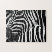 Zebra Puzzle (Horizontal)