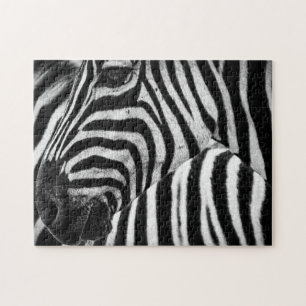 Zebra Puzzle
