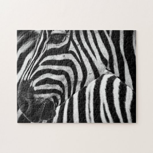 Zebra Puzzle (Horizontal)