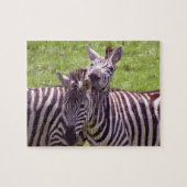 Zebra Puzzle (Horizontal)
