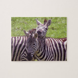 Zebra Puzzle
