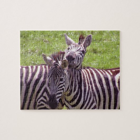 Zebra Puzzle (Horizontal)