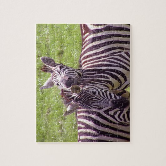 Zebra Puzzle (Vertikal)