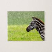 Zebra Puzzle (Horizontal)